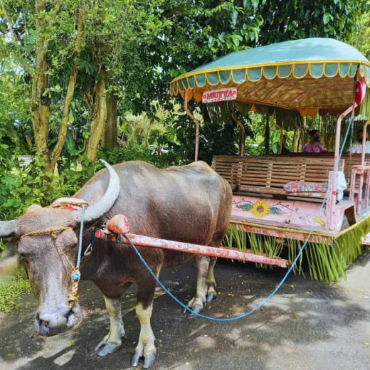 TravelToPH - Экскурсии / Туры - Вилла Эскудеро и ресторан в водопаде. Экскурсия из Манилы. | LM-VEWRTFM-D1