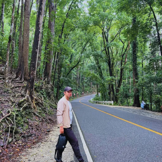 TravelToPH - Экскурсии / Туры - Шоколадные холмы - Квадроциклы - Заповедник долгопят (тарсиры) - Искусственный лес Билар - Экопарк экотуризма Лобок | VB-CHSATRBMLA-D1