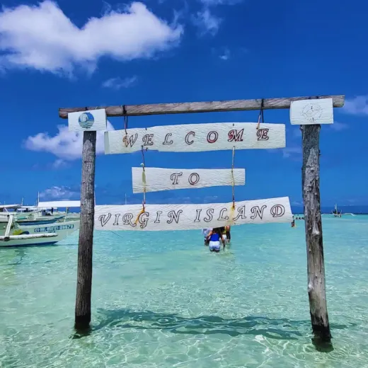 TravelToPH - Экскурсии / Туры - Наблюдение за дельфинами - остров Баликасаг - остров Верджин | VB-DWBIVI-D1