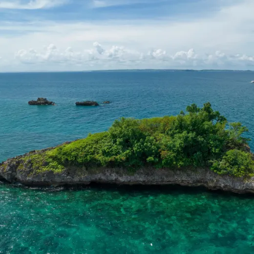 TravelToPH - Экскурсии / Туры - Тур по островам и сноркелинг: Коралловый сад - остров Дакит-Дакит - утес Лапус-Лапус | VM-IHSTDICGCDDILLC-D1