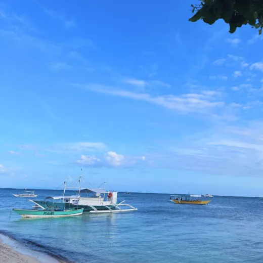 TravelToPH - Экскурсии / Туры - Остров Малапаскуа - Остров Каланггаман - Остров Малапаскуа | VMK-MIKIMI-D1