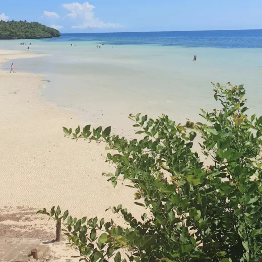 TravelToPH - Экскурсии / Туры - Природный и приключенческий тур по острову: парк озера Данао - пещера Букилат - пещера Тимубо - пляж Сантьяго Бэй - курорт Мангодлонг Рок | VC-INATLDPBCTCSBBMRR-D1