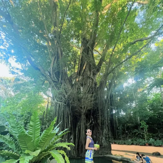 TravelToPH - Экскурсии / Туры - Церковь Лази - подземная река Самбулаван - старое зачарованное дерево Балете - курорт с видом на закат FIG | VS-LCSUROEBTFSVR-D1