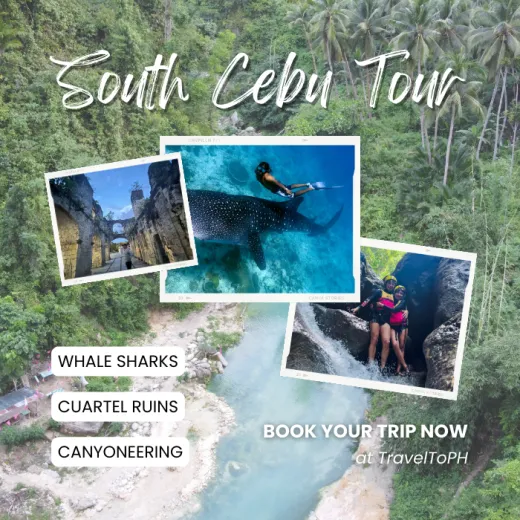 TravelToPH - Экскурсии / Туры - Плавание с Китовыми Акулами в Ослобе - Руины Куартел - Каньонинг в Алегрии, Канлаоб | VC-WSWOCRAKC-D1