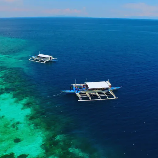 TravelToPH - Экскурсии / Туры - Наблюдение за дельфинами - остров Баликасаг - остров Верджин | VB-DWBIVI-D1