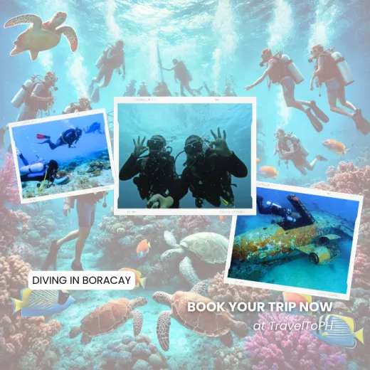 TravelToPH - Экскурсии / Туры - Дайвинг на Боракай | VB-DIB-D1