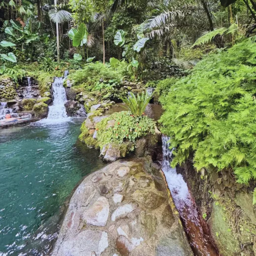 TravelToPH - Экскурсии / Туры - Затерянная долина. Экскурсия из Манилы. | LM-HVSTFM-D1