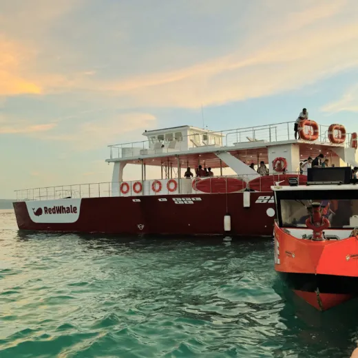 TravelToPH - Экскурсии / Туры - Прогулка на яхте | VB-BYC-D1