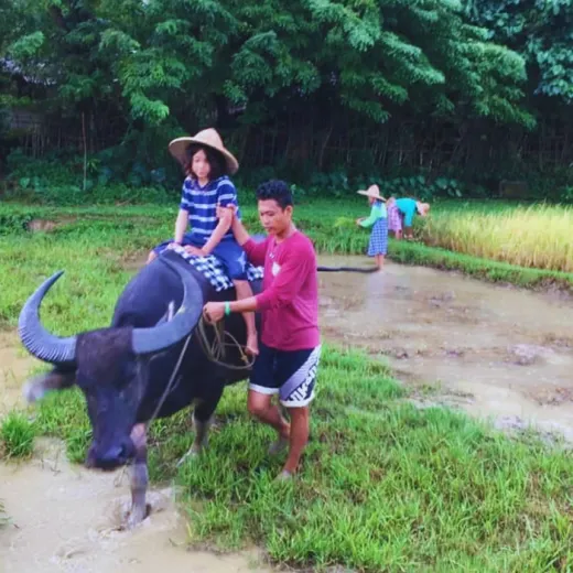 TravelToPH - Экскурсии / Туры - Музей живой культуры Мотаг - река Лангуйон | VB-MLMLR-D1 TravelToPH - Экскурсии / Туры - Музей живой культуры Мотаг - река Лангуйон | VB-MLMLR-D1