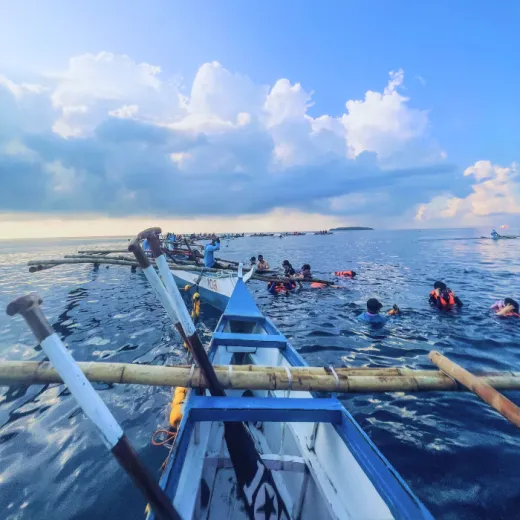 TravelToPH - Экскурсии / Туры - Плавание с Китовыми Акулами в Ослобе - Водопад Тумалог - Католическая Церковь Симала | VC-WSWOTWSPC-D1