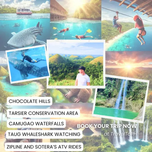 TravelToPH - Экскурсии / Туры - Плавание с китовыми акулами в Тауге на Бохоле - Зиплайн - Заповедник долгопят (тарсиры) - Шоколадные холмы - Квадроциклы - Водопады Камугао | VB-TWSWZLTCACHSARCF-D1