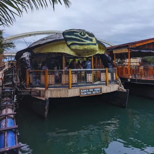 TravelToPH - Экскурсии / Туры - Плавание с китовыми акулами в Тауге на Бохоле - рисовые террасы Кадапдапан - наблюдение за светлячками в Лоае | VB-TWSWBCRTLF-D1