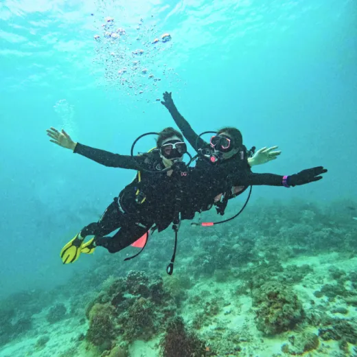 TravelToPH - Экскурсии / Туры - Дайвинг на Боракай | VB-DIB-D1