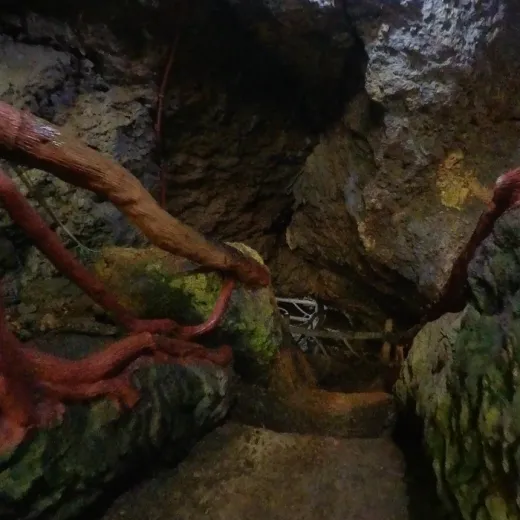 TravelToPH - Экскурсии / Туры - Удивительная пещера - Пещера Параисо - Райская пещера - Пещера Лиззи - Пещера Тимубо | VC-ACPCHCLCTC-D1