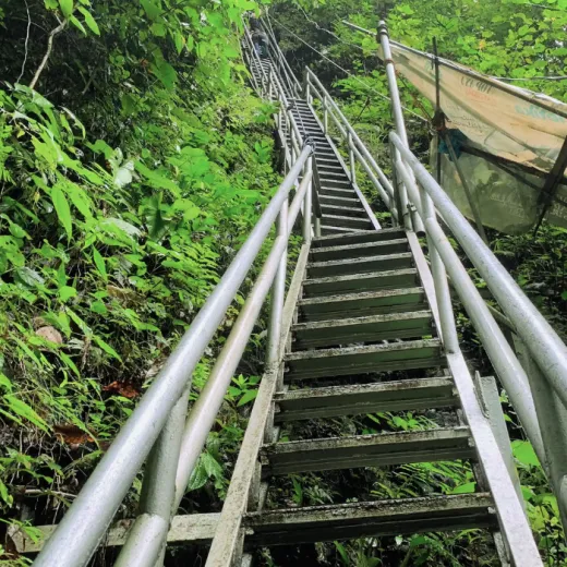 TravelToPH - Экскурсии / Туры - Водопады Кавинти (водопады Пагманджан) | LM-CFPF-D1 TravelToPH - Экскурсии / Туры - Водопады Кавинти (водопады Пагманджан) | LM-CFPF-D1