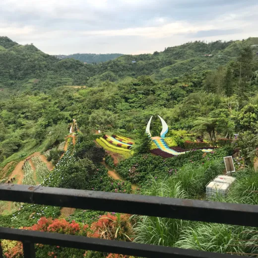 TravelToPH - Экскурсии / Туры - Клубничная Экоферма де Кантипла - Сад Бувакан ни Алехандра - Лейквью Ле Жардин | VC-SCEFBALLJ-D1