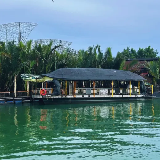 TravelToPH - Экскурсии / Туры - Плавание с китовыми акулами в Тауге на Бохоле - рисовые террасы Кадапдапан - наблюдение за светлячками в Лоае | VB-TWSWBCRTLF-D1