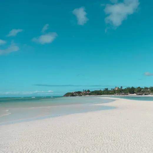 TravelToPH - Экскурсии / Туры - Вариант B - Утренняя экскурсия по острову + Дневной круиз по островам: пляж Кота - мангровый лес Сави - остров Вирджин - маленькие островки | VB-OBELTAIHKBMCSVISS-D1