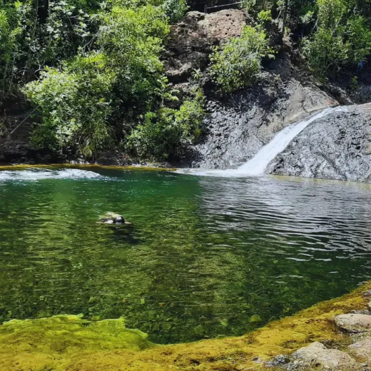 TravelToPH - Экскурсии / Туры - Экологический тур по острову Панай: арборетум и экопарк Пандан - пещера Пангихан - курорт холодного источника Хуром-Хуром - водопады Джаваили | VB-PIETPAEPPCHHCSRJF-D1 TravelToPH - Экскурсии / Туры - Экологический тур по острову Панай: арборетум и экопарк Пандан - пещера Пангихан - курорт холодного источника Хуром-Хуром - водопады Джаваили | VB-PIETPAEPPCHHCSRJF-D1