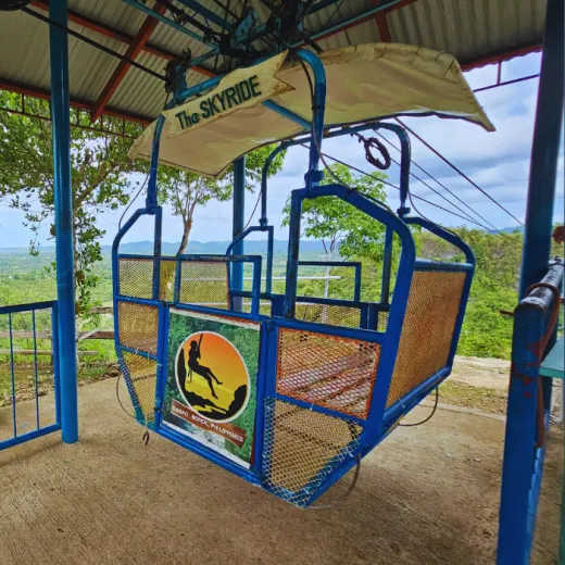 TravelToPH - Экскурсии / Туры - Заповедник Philippine Tarsier - пещера Гуаон - приключенческий парк Данао | VB-PTSGCDAP-D1