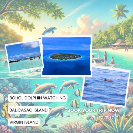 TravelToPH - Экскурсии / Туры - Наблюдение за дельфинами - остров Баликасаг - остров Верджин | VB-DWBIVI-D1