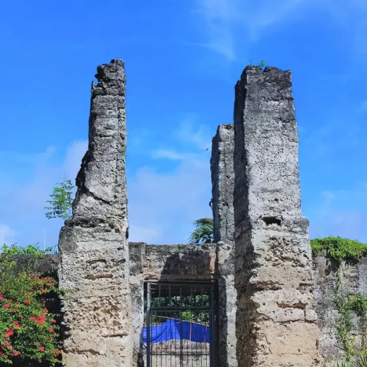 TravelToPH - Экскурсии / Туры - Экскурсия по острову Бантаян: мангровый сад Омаджика Обо-об - парк Кота - Церковь Святого Петра Апостола - город Санта-Фе | VB-LTABIOOMGKPSPAPSFT-D1