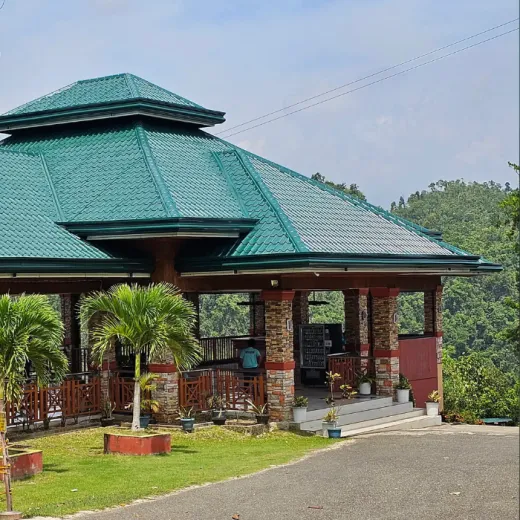 TravelToPH - Экскурсии / Туры - Шоколадные холмы - Квадроциклы - Заповедник долгопят (тарсиры) - Искусственный лес Билар - Экопарк экотуризма Лобок | VB-CHSATRBMLA-D1