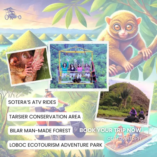 TravelToPH - Экскурсии / Туры - Шоколадные холмы - Квадроциклы - Заповедник долгопят (тарсиры) - Искусственный лес Билар - Экопарк экотуризма Лобок | VB-CHSATRBMLA-D1