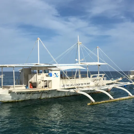 TravelToPH - Экскурсии / Туры - Дайвинг-тур с лисими акулами: Monad Shoal | VM-TSDTMS-D1