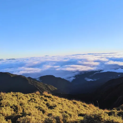 TravelToPH - Экскурсии / Туры - Гора Пулаг. Восхождение и рассвет над облаками. Экскурсия из Манилы. | LM-MPASACTM-D1