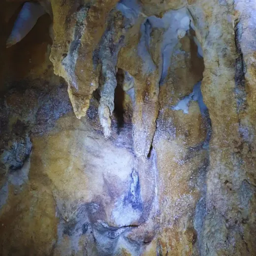 TravelToPH - Экскурсии / Туры - Экологический тур по острову Панай: арборетум и экопарк Пандан - пещера Пангихан - курорт холодного источника Хуром-Хуром - водопады Джаваили | VB-PIETPAEPPCHHCSRJF-D1 TravelToPH - Экскурсии / Туры - Экологический тур по острову Панай: арборетум и экопарк Пандан - пещера Пангихан - курорт холодного источника Хуром-Хуром - водопады Джаваили | VB-PIETPAEPPCHHCSRJF-D1