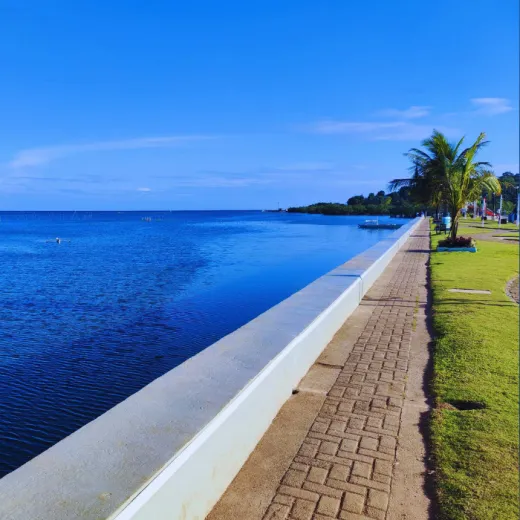 TravelToPH - Экскурсии / Туры - Индивидуальный тур по островам: остров Поро - остров Понсон - остров Туланг Диот | VC-CIHTPIPITDI-D1