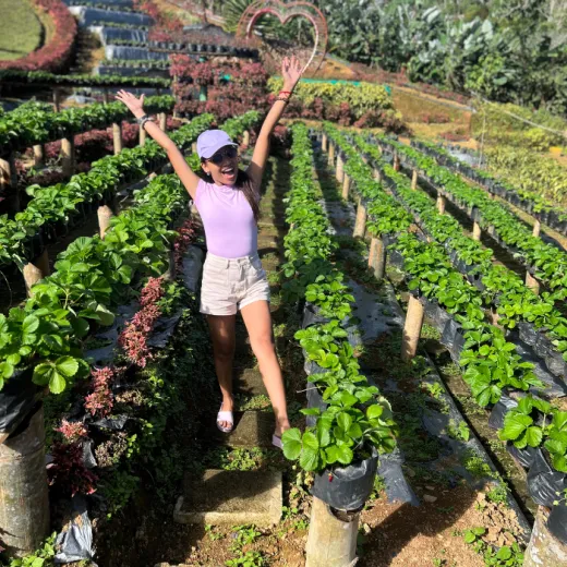 TravelToPH - Экскурсии / Туры - Клубничная Экоферма де Кантипла - Сад Бувакан ни Алехандра - Лейквью Ле Жардин | VC-SCEFBALLJ-D1