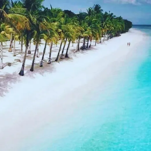 TravelToPH - Экскурсии / Туры - Тур на парусной лодке Paraw вокруг Панглао | VB-PSTAP-D1