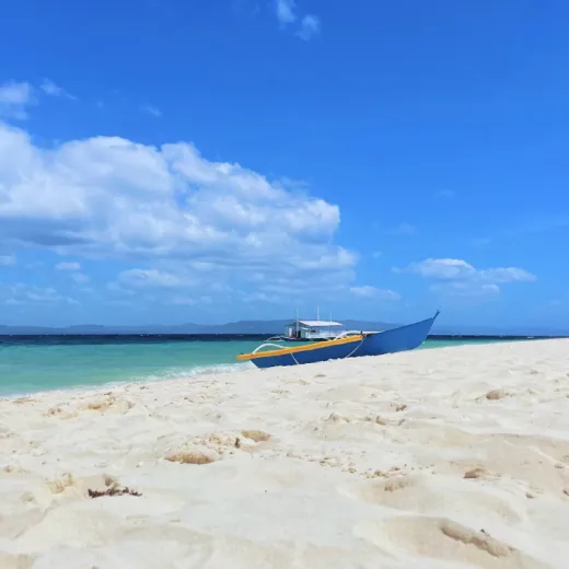 TravelToPH - Экскурсии / Туры - Остров Памилакан (сноркелинг) | VB-PI-D1