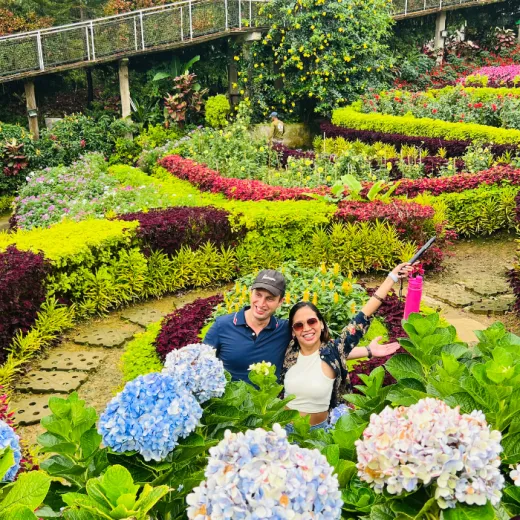 TravelToPH - Экскурсии / Туры - Бувакан ни Алехандра - Сад Сирао - Жизнь в Небесах | VC-BASGLVS-D1