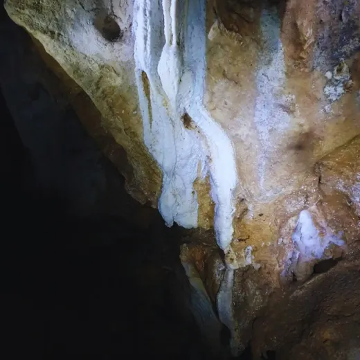 TravelToPH - Экскурсии / Туры - Экологический тур по острову Панай: арборетум и экопарк Пандан - пещера Пангихан - курорт холодного источника Хуром-Хуром - водопады Джаваили | VB-PIETPAEPPCHHCSRJF-D1 TravelToPH - Экскурсии / Туры - Экологический тур по острову Панай: арборетум и экопарк Пандан - пещера Пангихан - курорт холодного источника Хуром-Хуром - водопады Джаваили | VB-PIETPAEPPCHHCSRJF-D1