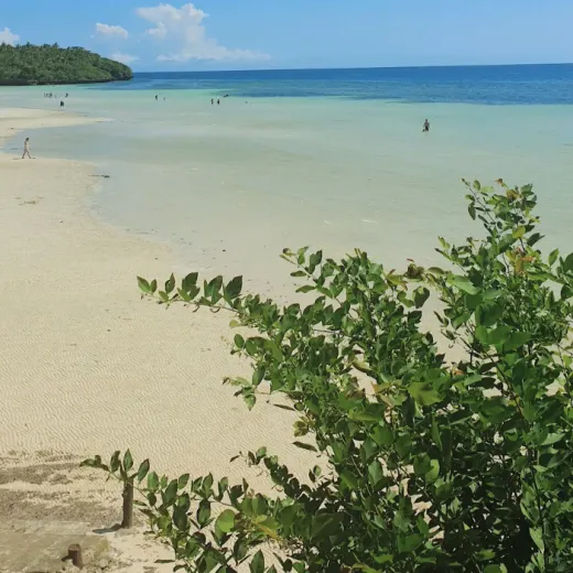 TravelToPH - Экскурсии / Туры - Тур по пляжам: Белый пляж Сантьяго - пляж Мангодлонг - пляж Бакхау | VC-BHRTSWBMBB-D1