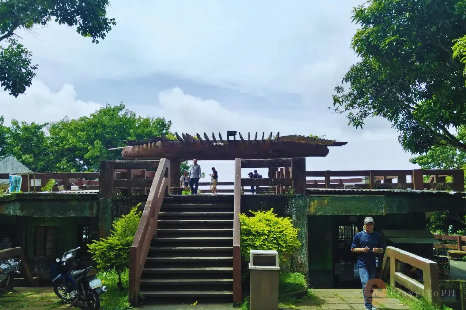 Пикник-роща Тагайтай | LM-TPG Пикник-роща Тагайтай | LM-TPG