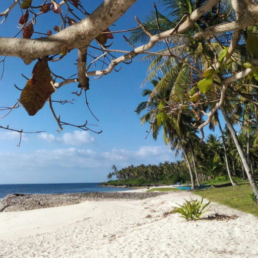 TravelToPH - Экскурсии / Туры - Пляж Сантьяго - Пляж Батсон - Скала Мангодлонг - Пляж Бакхау - Скрытые хижины | VC-SBBBMRBBHH-D1