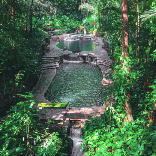 TravelToPH - Экскурсии / Туры - Затерянная долина. Экскурсия из Манилы. | LM-HVSTFM-D1