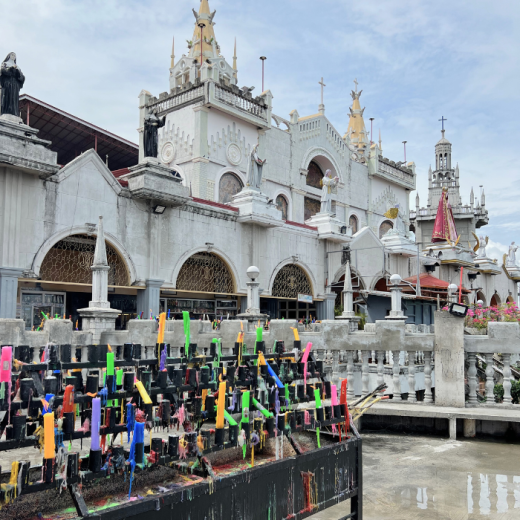 TravelToPH - Экскурсии / Туры - Плавание с Китовыми Акулами в Ослобе - Водопад Тумалог - Католическая Церковь Симала | VC-WSWOTWSPC-D1