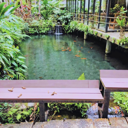 TravelToPH - Экскурсии / Туры - Затерянная долина. Экскурсия из Манилы. | LM-HVSTFM-D1