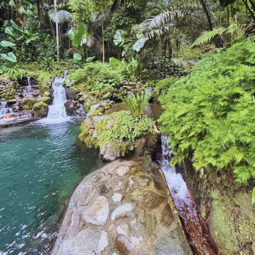 TravelToPH - Экскурсии / Туры - Затерянная долина. Экскурсия из Манилы. | LM-HVSTFM-D1