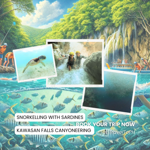 TravelToPH - Экскурсии / Туры - Снорклинг с Сардинами в Моалбоал - Каньонинг на Водопадах Кавасан | VC-SSMKFC-D1