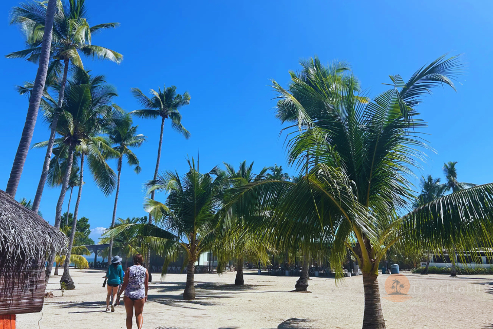 Остров Каури | LP-CI Остров Каури | LP-CI