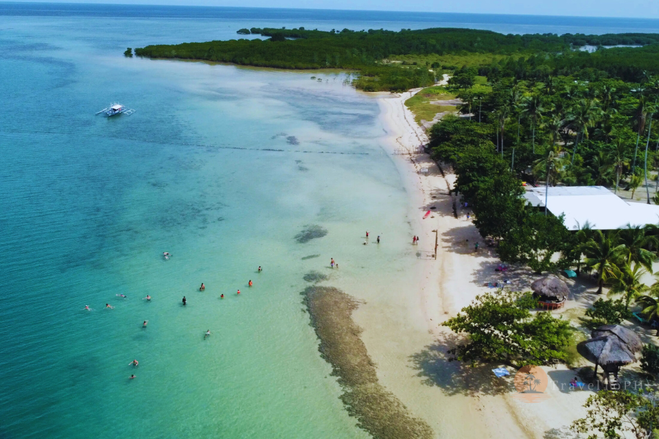 Остров Каури | LP-CI Остров Каури | LP-CI